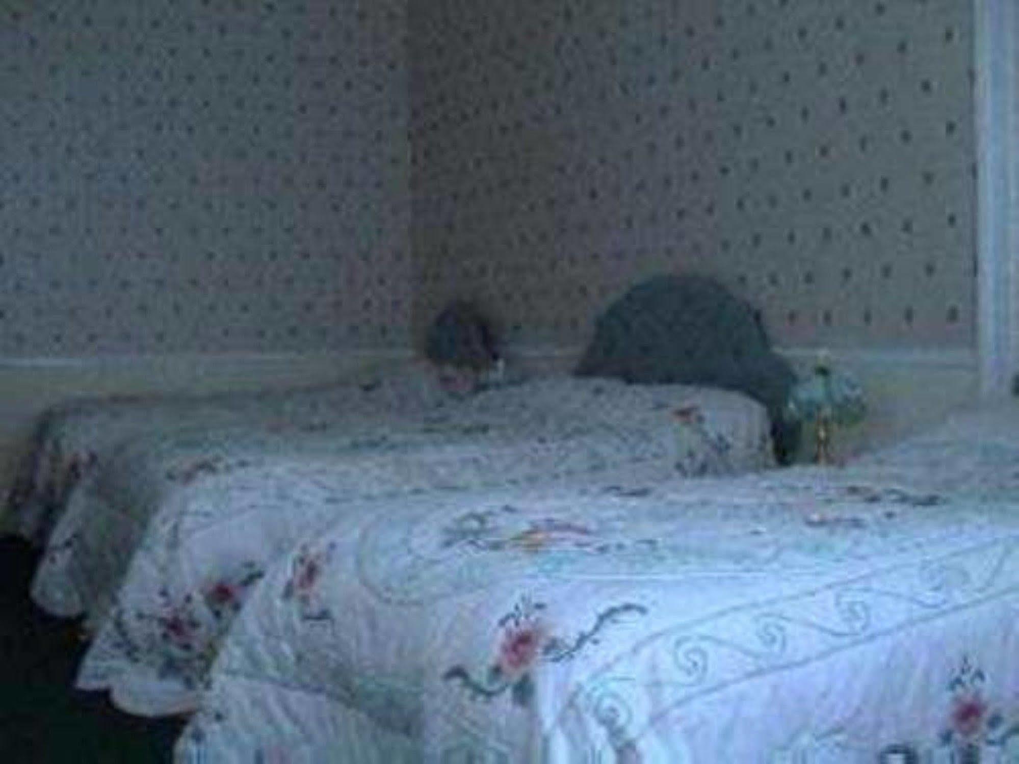 캐피탈 하우스 호텔 에든버러 외부 사진